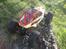 Off-Roader venom creeper competition rock crawler kit