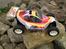Buggy FG Leopard