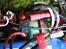 Truck Team Asso RC18T "Speeder"