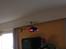 Helikopter Pure Racing