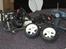 Off-Roader FG Beetle