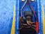 Fly Robbe Sport Wing