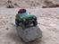 Off-Roader Axial scx-10 Jeep Cherokee