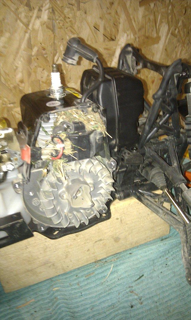 Bil HPI Baja 5b v2 - Rensning af motor efter 30 min på græsplæne.. :-( billede 12