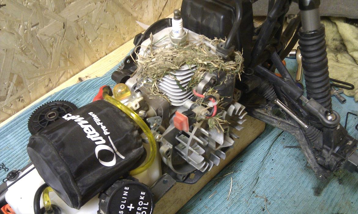 Bil HPI Baja 5b v2 - Rensning af motor efter 30 min på græsplæne.. :-( billede 13