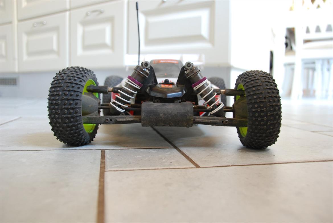 Buggy Trophy Buggy Flux billede 8