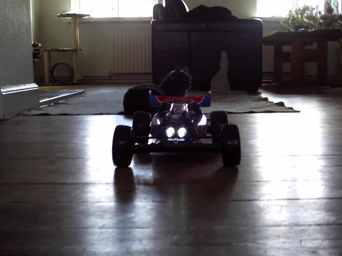 Buggy Lrp twister s10 billede 17
