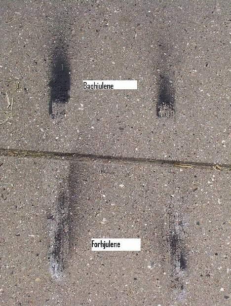 Bil Nissan Skyline - En Lille Koger billede 9