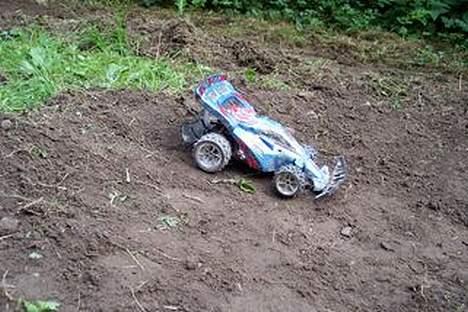 Buggy Dacko billede 5