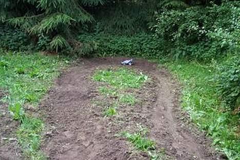 Buggy Dacko billede 7