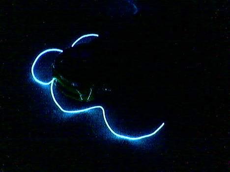 Bil HBX Skyline - Jeg ska lige have monteret min neon wire  billede 12