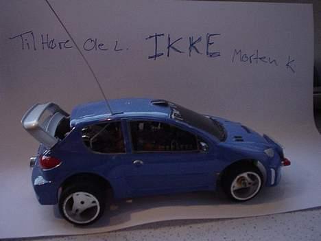 Bil 206 race tin billede 1