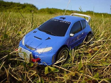 Bil 206 race tin billede 2