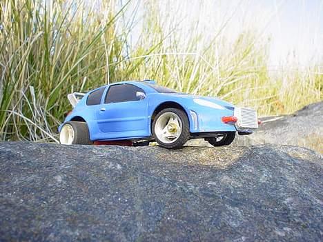 Bil 206 race tin billede 7