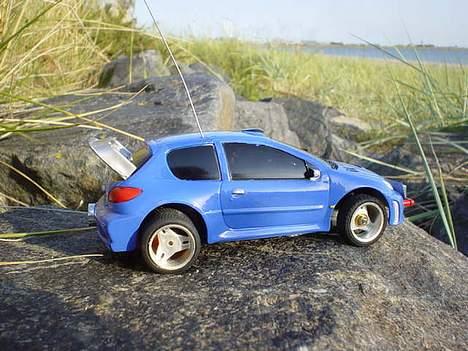 Bil 206 race tin billede 9