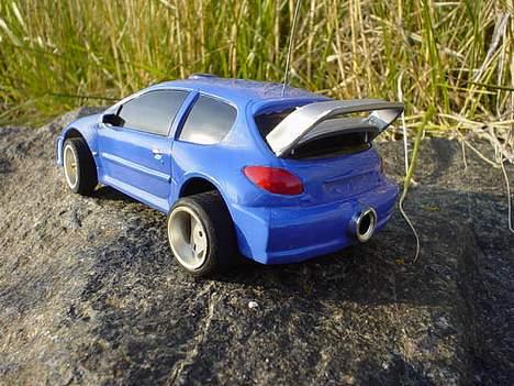 Bil 206 race tin billede 11