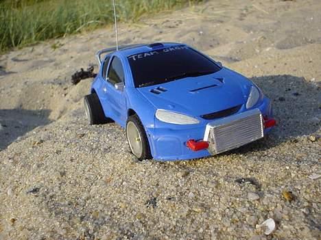 Bil 206 race tin billede 16