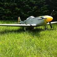 Fly Mustang P-51D (Warbird)