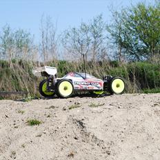 Buggy Trophy Buggy Flux