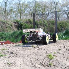 Buggy Trophy Buggy Flux