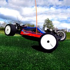 Buggy Team Losi 22