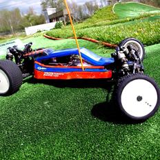 Buggy Team Losi 22