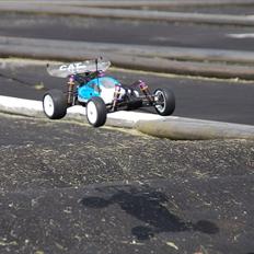 Buggy Schumacher CAT SX2