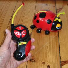 Bil Mariehønen evigglad