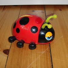 Bil Mariehønen evigglad