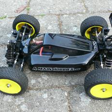 Buggy Team Losi Mini 8ight 3S