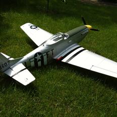 Fly Mustang P-51D (Warbird)