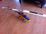 Helikopter Align T-Rex 700E V2 BeastX Super Combo