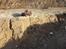 Off-Roader Jeep Cherokee - Axial SCX-10