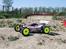 Buggy Trophy Buggy Flux