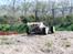Buggy Trophy Buggy Flux