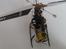 Helikopter walkera hm 4#6