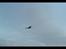 Fly Mustang P-51D (Warbird)