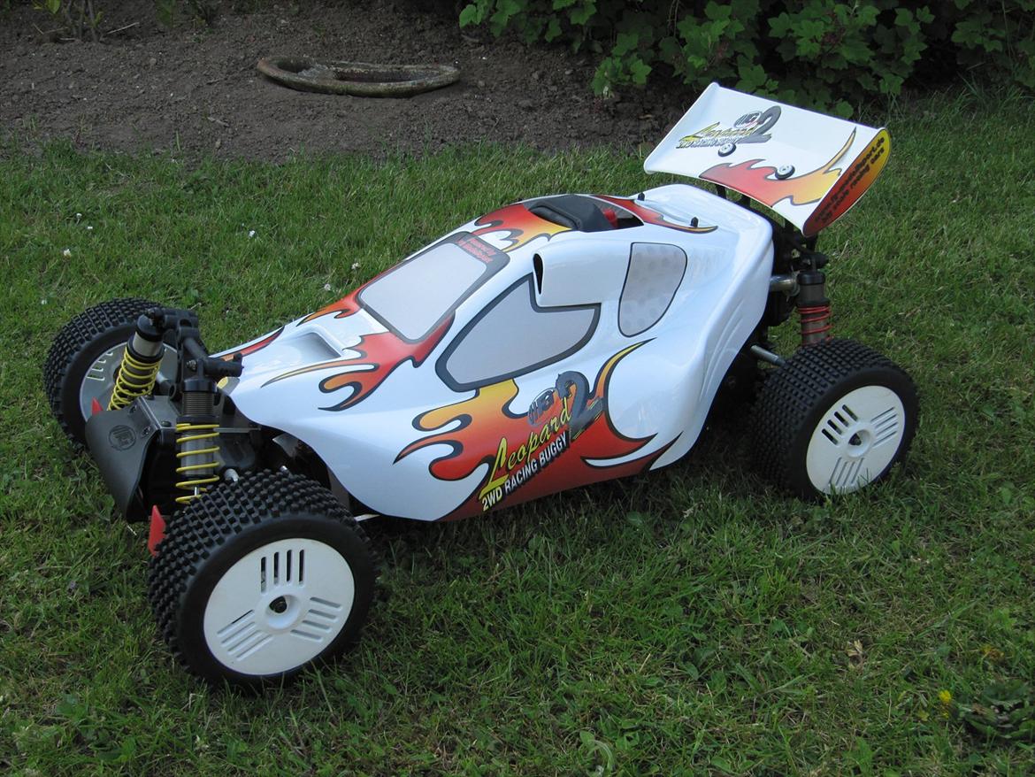Buggy FG leopard 2wd billede 10