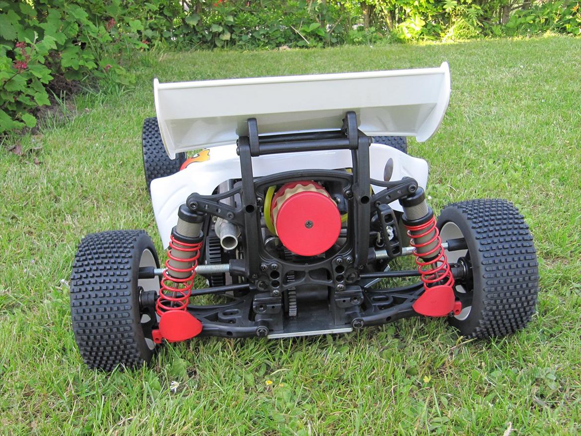 Buggy FG leopard 2wd billede 12