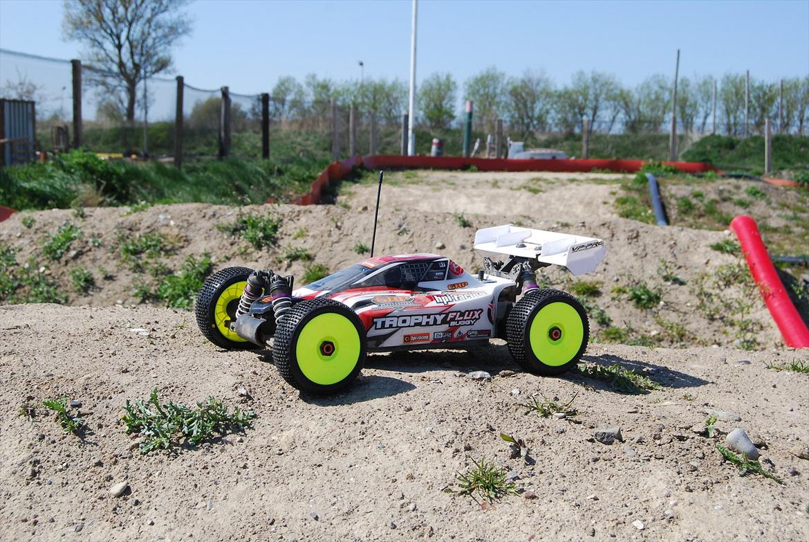 Buggy Trophy Buggy Flux billede 2