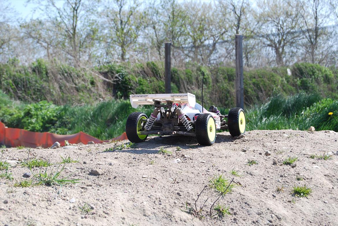 Buggy Trophy Buggy Flux billede 3