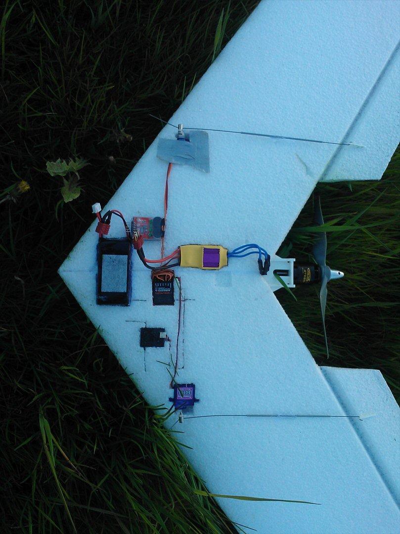 Fly Swift II "Brombass"  billede 6