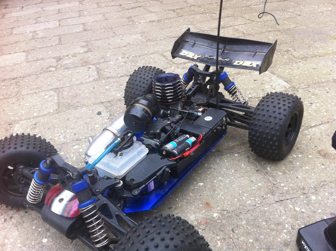 Buggy Kyosho DBX billede 10