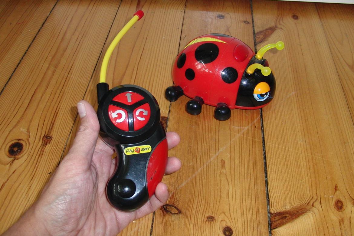 Bil Mariehønen evigglad billede 1