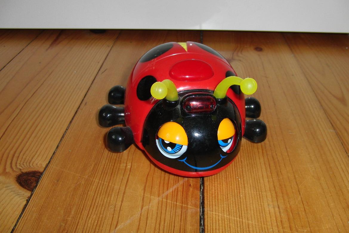 Bil Mariehønen evigglad billede 2