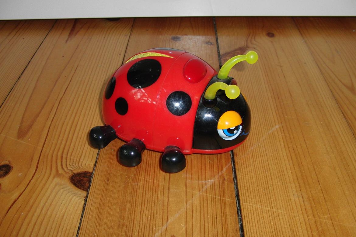 Bil Mariehønen evigglad billede 3