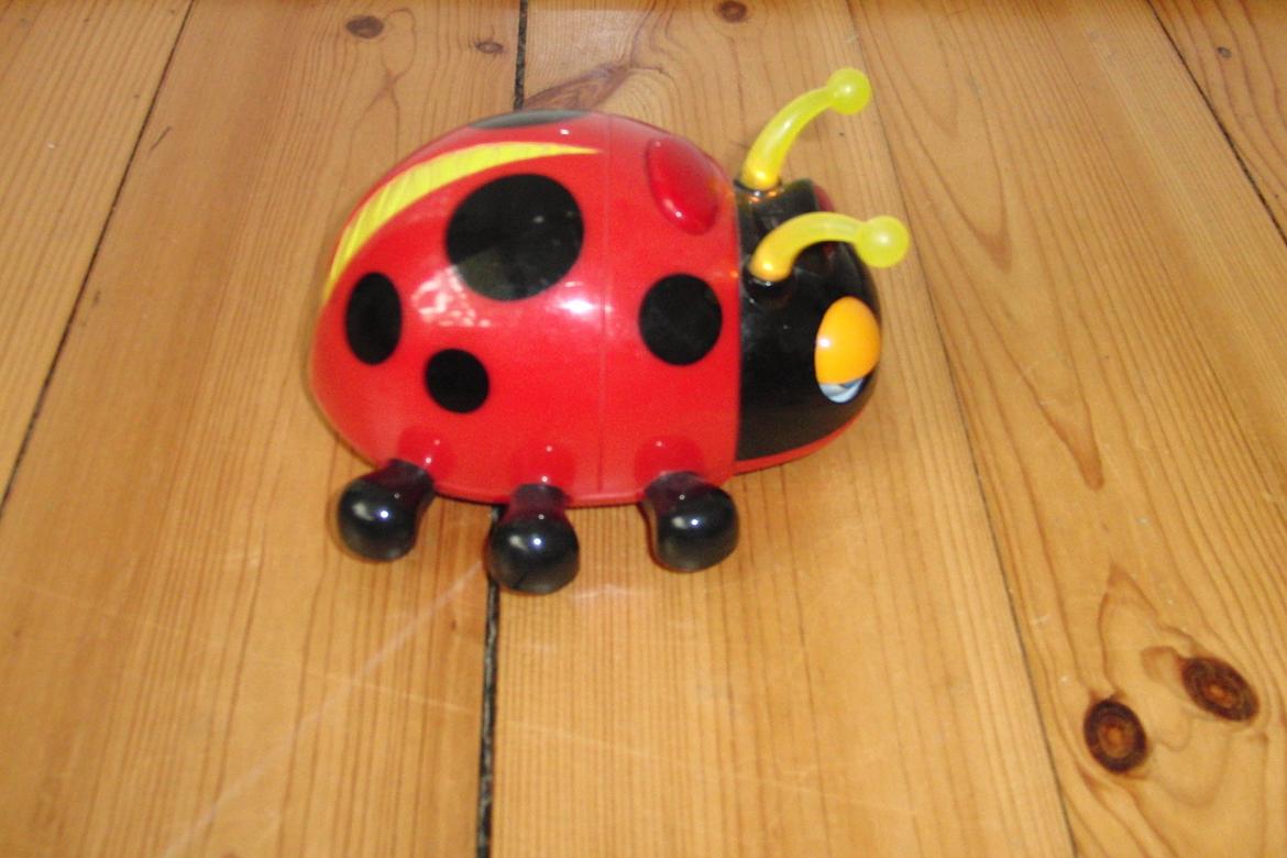 Bil Mariehønen evigglad billede 5