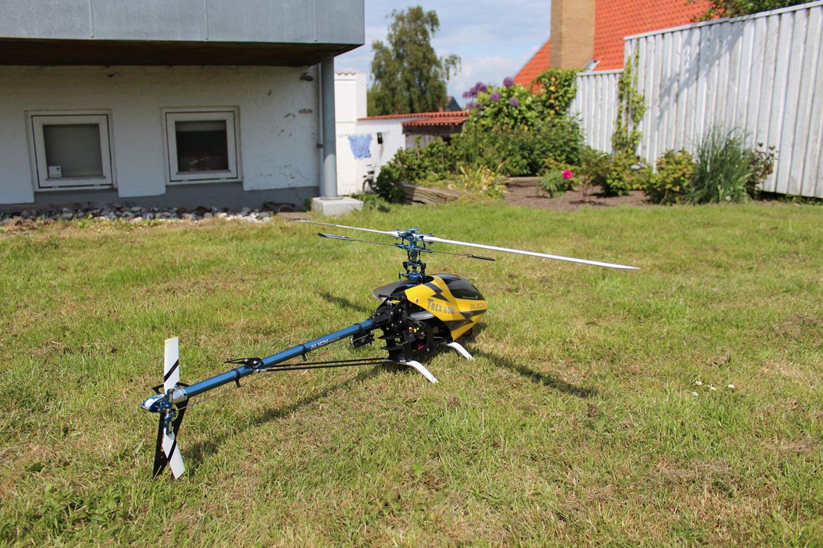 Helikopter Trex 600ESP billede 8