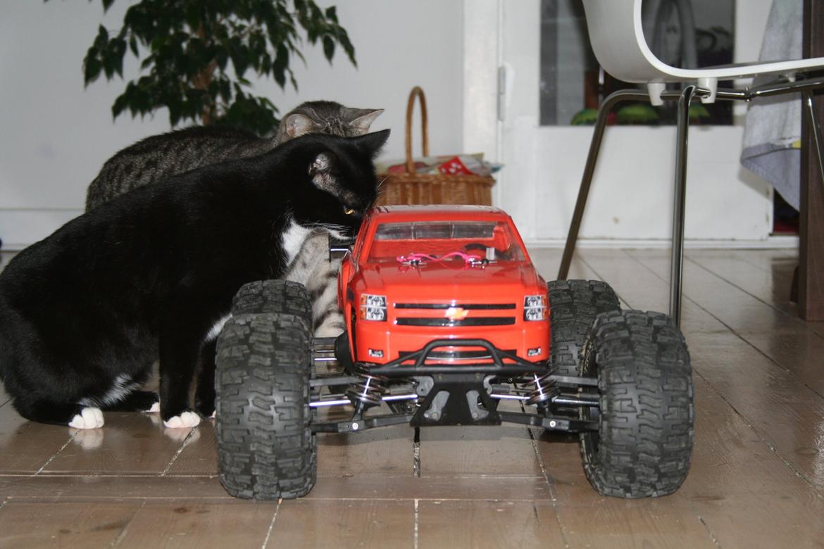 Off-Roader Team Losi Afterschock/LST billede 15