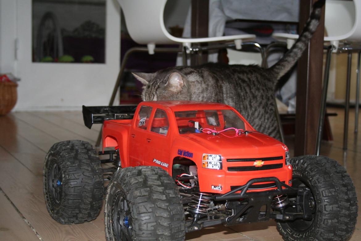 Off-Roader Team Losi Afterschock/LST billede 16